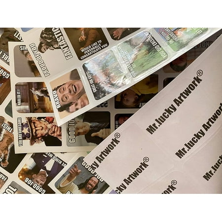 Meme Stickers//Meme Reward Stickers for Teachers 150pcs No Repetition
